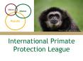 IPPL Presentation