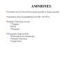AMNIOTES