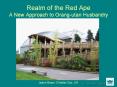 Realm of the Red Ape A New Approach to Orangutan Husbandry
