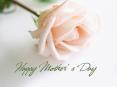 Hallmark estimates that 150 million Mothers Day cards were sent this year