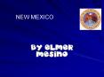 BY ELMER MESINO