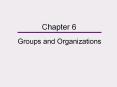 Groups and Organizations