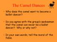 The Camel Dances