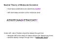 Neutral Theory of Molecular Evolution
