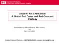 Disaster Risk Reduction A Global Red Cross and Red Crescent Strategy