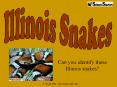 Can you identify these Illinois snakes