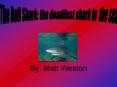 They eat dolphins, other sharks, crustaceans and lots of ot