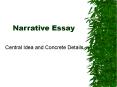 Narrative Essay