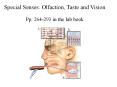 Special Senses: Olfaction, Taste and Vision