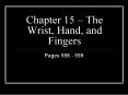 Chapter 15 The Wrist, Hand, and Fingers