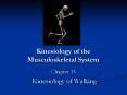 Kinesiology of the Musculoskeletal System