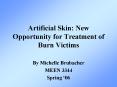 Artificial Skin: New Opportunity for Treatment of Burn Victims