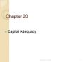 Capital Adequacy