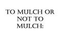 To Mulch Or Not To Mulch: