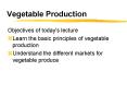 Vegetable Production