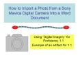 How to Import a Photo from a Sony Mavica Digital Camera Into a Word Document
