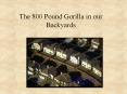 The 800 Pound Gorilla in our Backyards