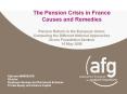 The Pension Crisis in France Causes and Remedies Pension Reform in the European Union: Comparing the