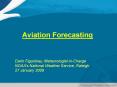 Aviation Forecasting