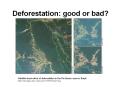 Deforestation: good or bad