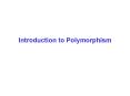 Introduction to Polymorphism