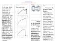 Strength of Materials