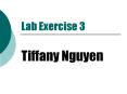 Lab Exercise 3