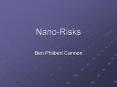 Nano-Risks