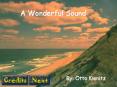 A Wonderful Sound