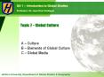Topic 7 Global Culture