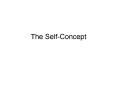 The SelfConcept