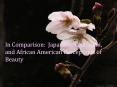 In Comparison: Japanese, Caucasian, and African American Perceptions of Beauty