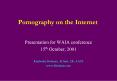 Pornography on the Internet