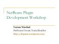 NetBeans Plugin Development Workshop