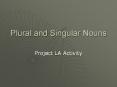 Plural and Singular Nouns