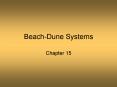 BeachDune Systems