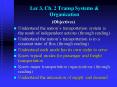 Lec 3, Ch. 2 Transp Systems
