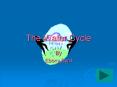 The Water Cycle