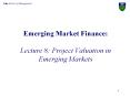 Emerging Market Finance: Lecture 8: Project Valuation in Emerging Markets