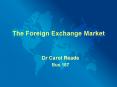 The Foreign Exchange Market