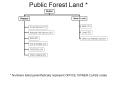 Public Forest Land