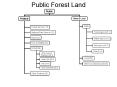 Public Forest Land
