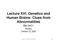 Lecture XVI. Genetics and Human Brains: Clues from Abnormalities
