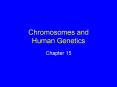 Chromosomes and Human Genetics