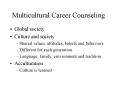 Multicultural Career Counseling
