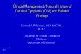 Clinical Management Natural History of Cervical Dysplasia CIN and Related Findings