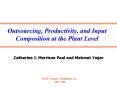 Outsourcing, Productivity, and Input Composition at the Plant Level