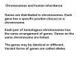 Chromosomes and human inheritance