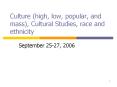 Culture high, low, popular, and mass, Cultural Studies, race and ethnicity