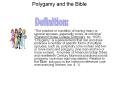 Polygamy and the Bible